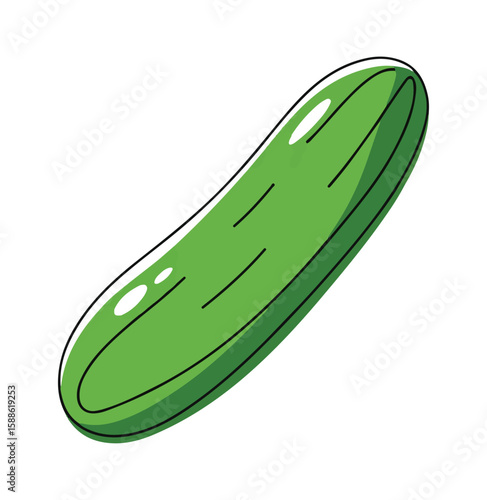 Fresh green cucumber vector illustration isolated on white background
