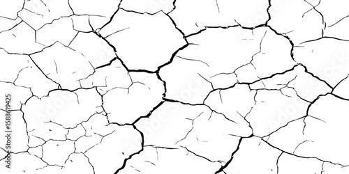 A stark, high-contrast black and white texture resembling cracked earth or shattered glass, showcasing an intricate network of irregular lines against a pristine white background. 