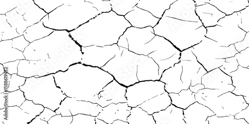 A stark, high-contrast black and white texture resembling cracked earth or shattered glass, showcasing an intricate network of irregular lines against a pristine white background. 