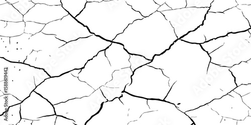 A stark, high-contrast black and white texture resembling cracked earth or shattered glass, showcasing an intricate network of irregular lines against a pristine white background. 