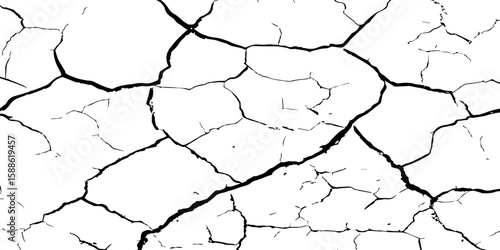 A stark, high-contrast black and white texture resembling cracked earth or shattered glass, showcasing an intricate network of irregular lines against a pristine white background. 