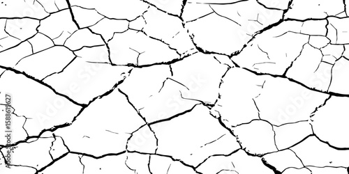 A stark, high-contrast black and white texture resembling cracked earth or shattered glass, showcasing an intricate network of irregular lines against a pristine white background. 