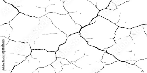 A stark, high-contrast black and white texture resembling cracked earth or shattered glass, showcasing an intricate network of irregular lines against a pristine white background. 