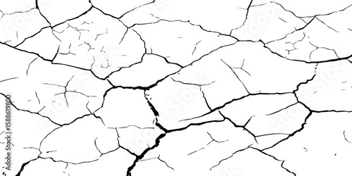 A stark, high-contrast black and white texture resembling cracked earth or shattered glass, showcasing an intricate network of irregular lines against a pristine white background. 