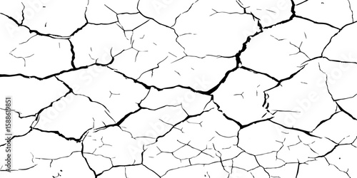 A stark, high-contrast black and white texture resembling cracked earth or shattered glass, showcasing an intricate network of irregular lines against a pristine white background. 