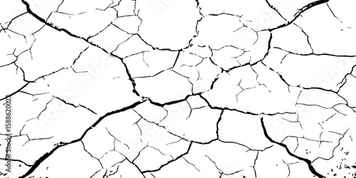 A stark, high-contrast black and white texture resembling cracked earth or shattered glass, showcasing an intricate network of irregular lines against a pristine white background. 