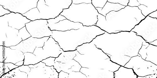 A stark, high-contrast black and white texture resembling cracked earth or shattered glass, showcasing an intricate network of irregular lines against a pristine white background. 