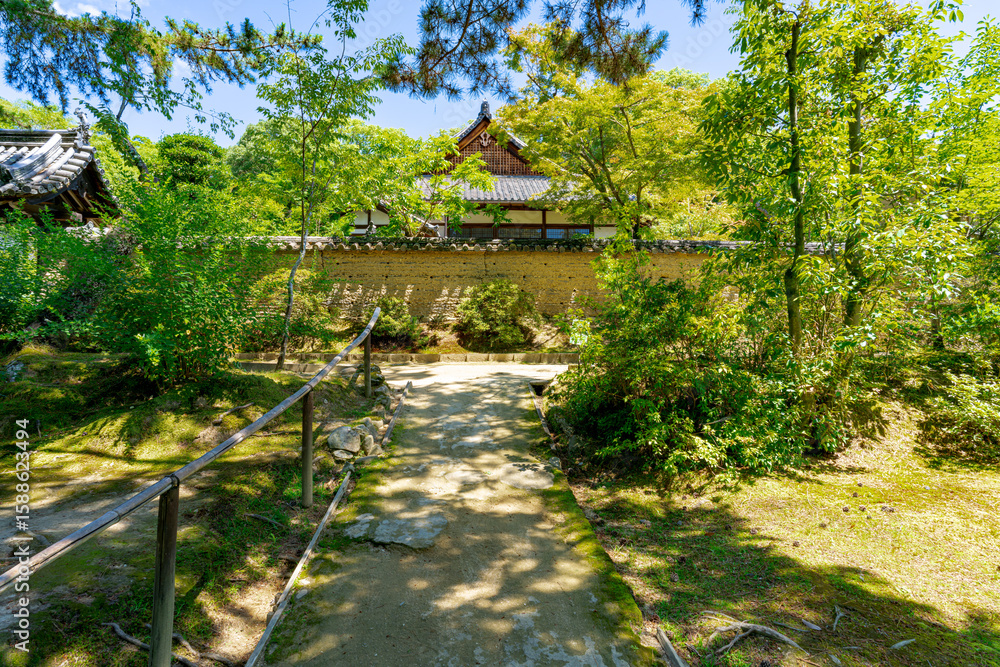 Obraz premium 【奈良県】奈良市 唐招提寺 (2025/07/10撮影)