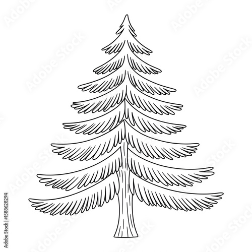 A black and white pine tree illustration line art of a coloring page 