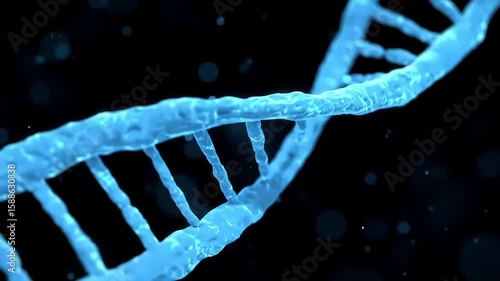 The Wonders of DNA A Journey into the Code of Life