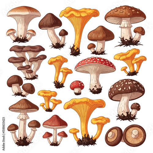 A colorful illustration showcasing various types of detailed and vibrant mushrooms.