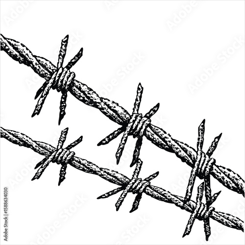 A closeup illustration of sharp barbed wire strands crossing diagonally, symbolizing confinement and danger