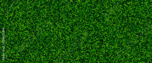 seamless green hedge texture with dense leaves for garden or nature background