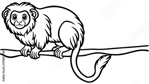Golden Lion Tamarin Monkey Line Drawing Hanging Branch