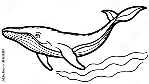 Humpback Whale Breaching Fine Line Drawing ocean