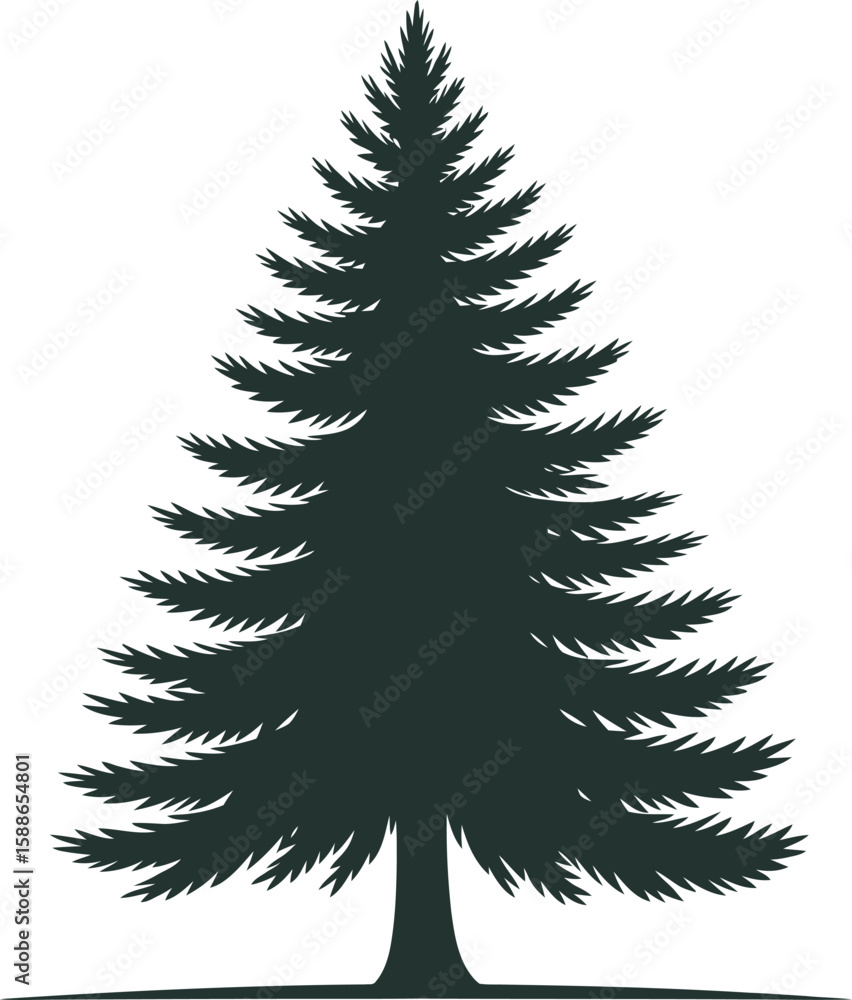 Obraz premium Vector Silhouette of Evergreen Pine Tree ? Isolated Botanical Illustration for Nature and Holiday Design