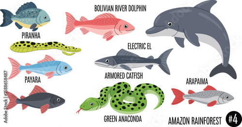 Amazon rainforest aquatic animals, piranha, dolphin, electric eel, catfish, anaconda, colorful illustration for kids, biodiversity, nature, education