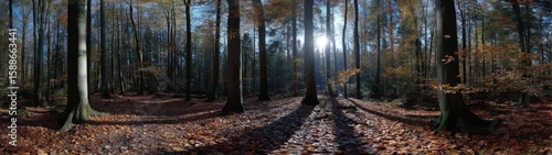 Panoramic 360 degrees hdr nature scene in autumn forest high-definition hdri viewpoint