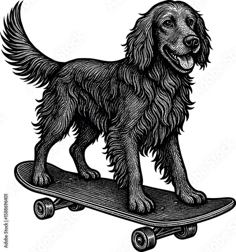 Irish Setter on Skateboard vector silhouette design