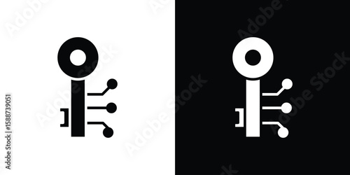 Digital key icon black flat pictogram. For graphic and web design.