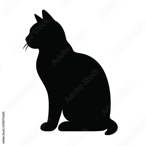 Silhouette of a Black Cat Sitting Pose