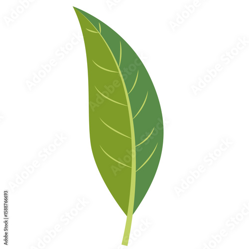Curved green oblong leaf, flat minimal style, isolated on white background, perfect for botanical, creative, and decorative designs.