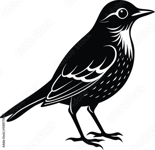 Thrush Bird Black Silhouette Clipart.