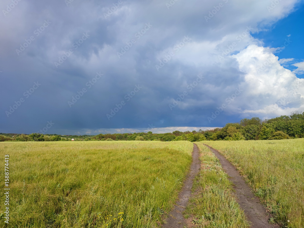 Fototapeta premium rural road across grassland