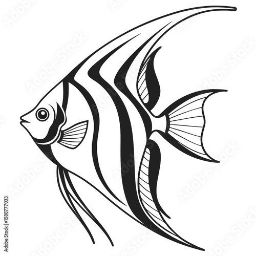Black and white angelfish illustration isolated on white background