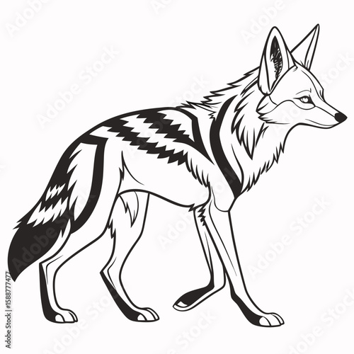 A black and white illustration of a coyote standing
