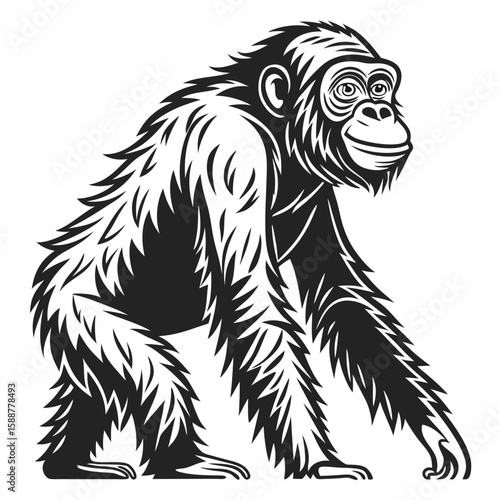 A chimpanzee in a stylized black and white illustration