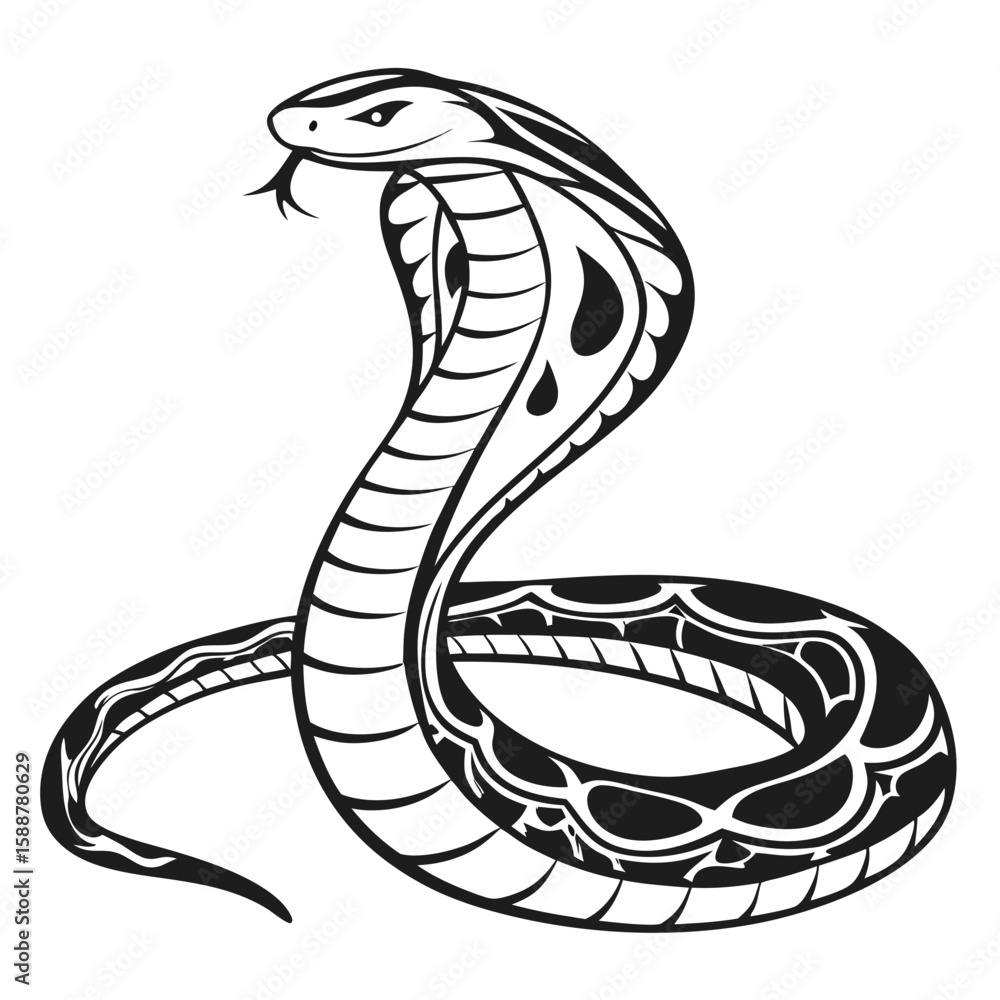 Fototapeta premium A black and white illustration of a cobra snake