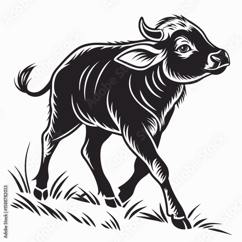 A young calf walks through the grass