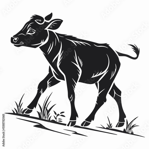 A young calf walks through the grass