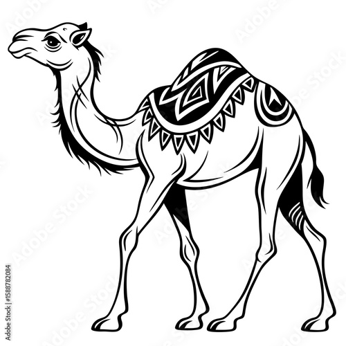 A camel with ornate saddle walks on a white background