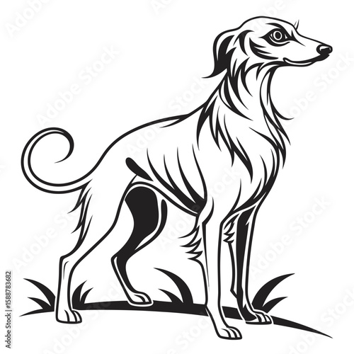 Elegant sighthound standing on grass, a black and white illustration