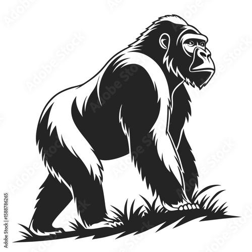 A gorilla standing on grass, black and white illustration