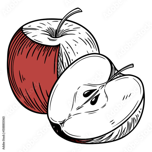 hand dawned apple with half 