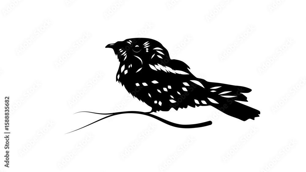 Obraz premium Cuban Nightjar bird, black isolated silhouette