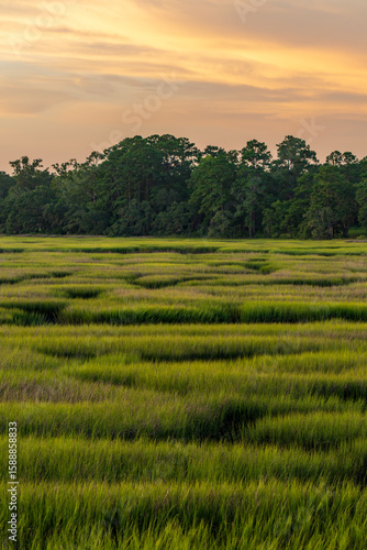 Green marsh grasses under a vibrant sunset sky showcasing nature's beauty in a rural landscape