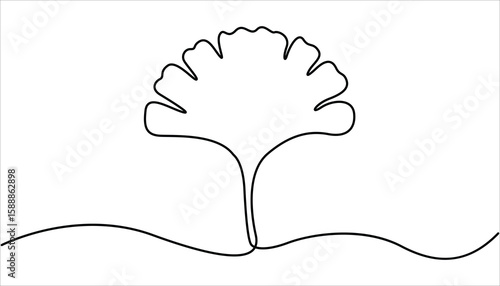 Ginkgo biloba Continuous one line drawing. Abstract botany minimalist poster, Ginkgo flower, Fresh ginkgo biloba green leaf Continuous Line Drawing. 
