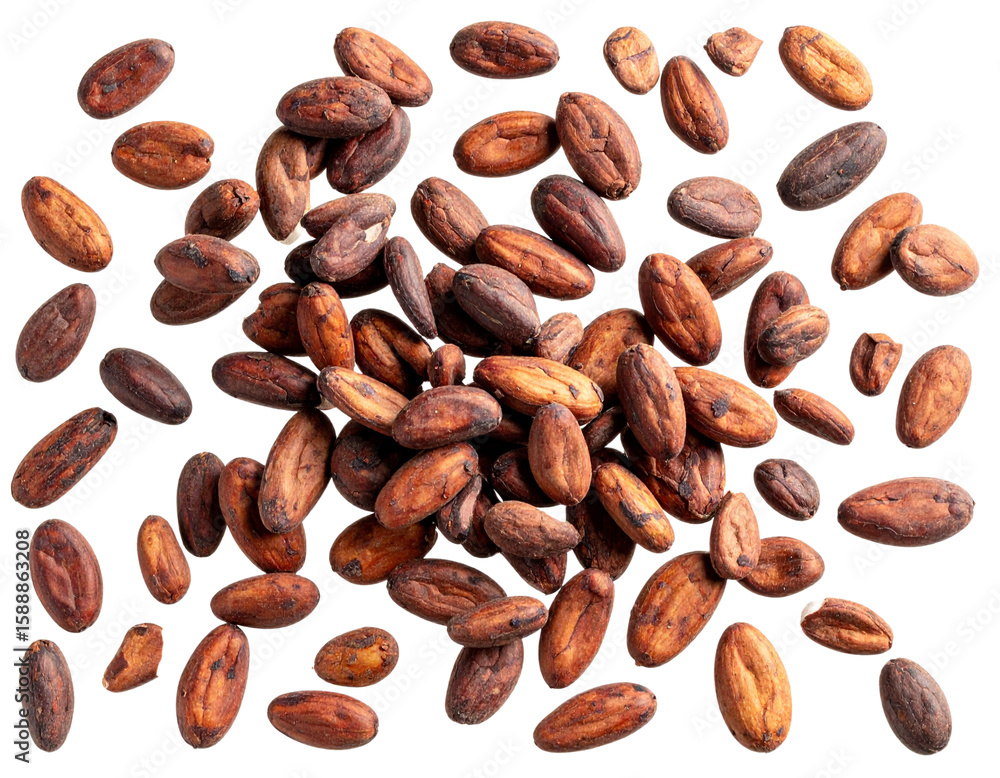 Obraz premium Top View of Scattered Cocoa Seeds with Floating Effect – Transparent PNG Cutout