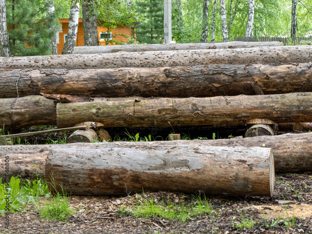 Fototapeta premium : Large logs stacked in outdoor area
