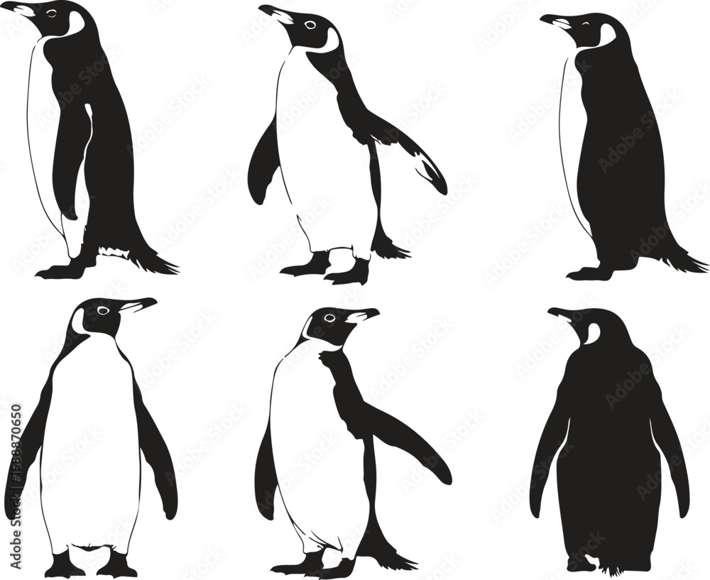 Fototapeta premium Black silhouettes of penguins set on a white background, silhouette penguin different pose walking and skating,