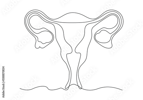Continuous one line art of Female reproductive uterus drawing and woman day one outline vector art illustration.