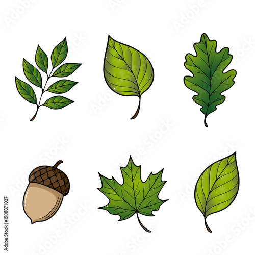 Blatt Icon Set Sommerblätter