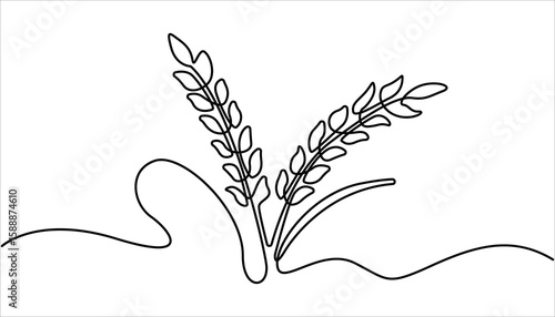 Wheat Berry Continuous Line Art Illustration, One continuous line. Spikelet of a cereal plant. Spikelet of wheat. Fall harvest line art. 
