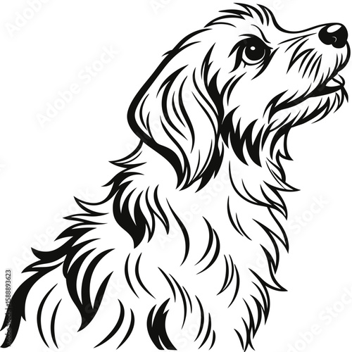 Wallpaper Mural Dog looking up attentively Torontodigital.ca