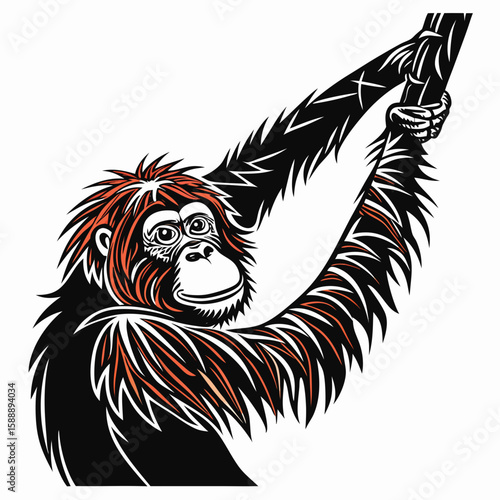 An orangutan hanging from a branch, isolated on white