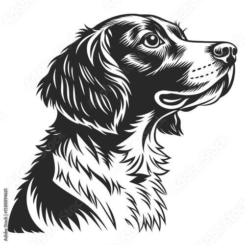 A black and white portrait of a dogs head